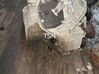 Automatic gearbox TSN