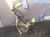 Rear door lock 