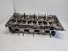 Engine head 55571949