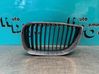 Front grill 22405910