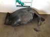 Front wheel arch liner splash guards 