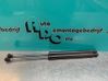 Tailgate/trunk strut/damper 8200299546