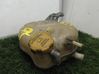 Tapón del depósito de refrigerante 55702164