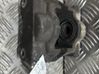 Takajarrusatula 00004400L3