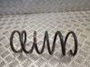 Muelle espiral trasero 