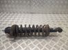 Rear shock absorber/damper 