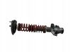 Front shock absorber/damper 