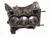 Bloque de motor 110105505R
