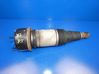 Rear shock absorber/damper 