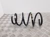 Front coil spring 