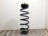 Rear coil spring 8K0512141D