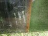 Rear door window glass 