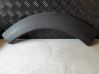 Rear door trim (molding) 500070PMA