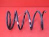 Front coil spring 