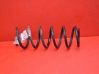Front coil spring 
