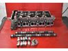 Engine head 55561003