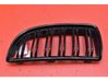 Front grill 