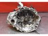 Manual 6 speed gearbox 5TE3