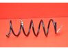 Front coil spring 