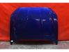 Engine bonnet/hood 