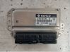 Engine control unit/module 3911002055