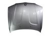 Engine bonnet/hood 41003449411