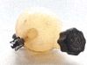 Depósito del refrigerante 4635A7