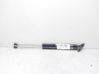Tailgate/trunk strut/damper C23563620E