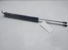 Tailgate/trunk strut/damper C23562620E