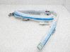 Airbag del techo 5F4880741