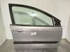 Durvis 9004P0