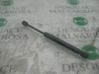 Tailgate/trunk strut/damper 51241960862