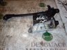 Rear door window regulator with motor 8D0839400A