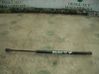 Tailgate/trunk strut/damper 