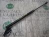 Tailgate/trunk strut/damper 817801W210
