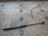 Tailgate/trunk strut/damper 51812267