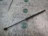 Amortiguador/puntal del maletero/compartimento de carga 51812267