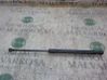 Tailgate/trunk strut/damper 51247060622