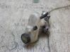 Bomba de freno 7701209642