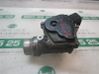 Throttle body valve 1446900QAH