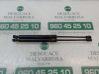 Tailgate/trunk strut/damper 51247060622