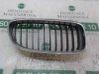 Front grill 