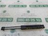 Tailgate/trunk strut/damper C2Z21500