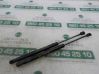 Tailgate/trunk strut/damper 5054353AB