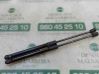 Tailgate/trunk strut/damper 51237148346