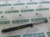 Tailgate/trunk strut/damper 51243400379
