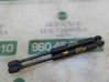 Front bonnet/hood damper/strut 51233400352