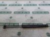 Amortiguador/puntal del maletero/compartimento de carga 4F9827552B