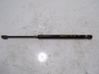 Tailgate/trunk strut/damper 55369333AD