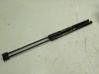 Tailgate/trunk strut/damper 2444429